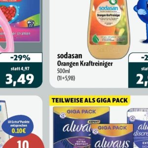 Orangen bei Aktiv Irma