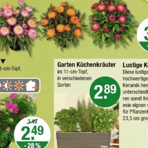 Garten bei V-Markt