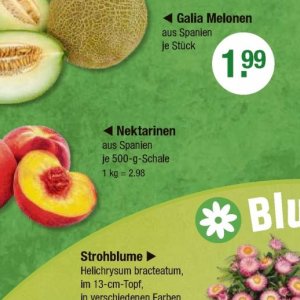 Nektarinen bei V-Markt