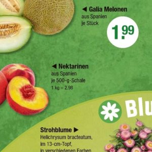 Nektarinen bei V-Markt