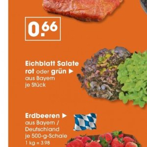 Salate bei V-Markt