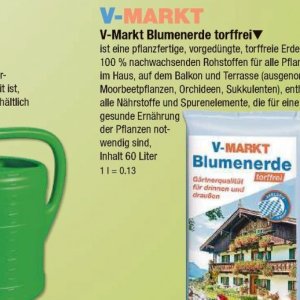 Pflanzen bei V-Markt