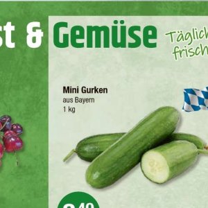 Gurken bei V-Markt