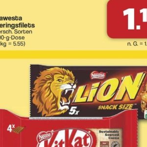 Lion bei Famila Nord West