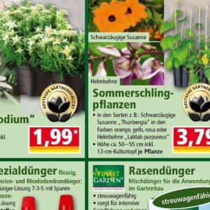 Pflanzen bei Norma
