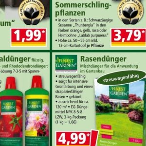 Pflanzen bei Norma