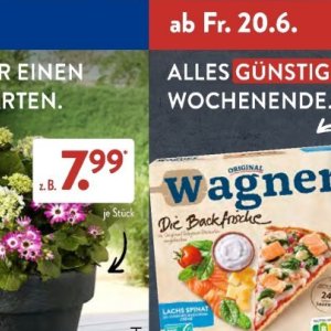  wagner bei Aldi SÜD