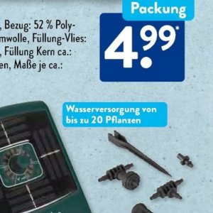 Pflanzen bei Aldi SÜD