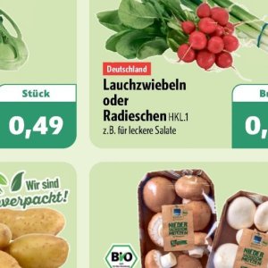 Radieschen bei Aktiv Irma