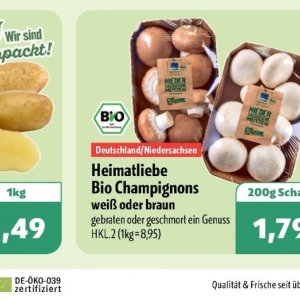 Champignons bei Aktiv Irma