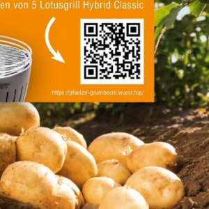Top bei Handelshof