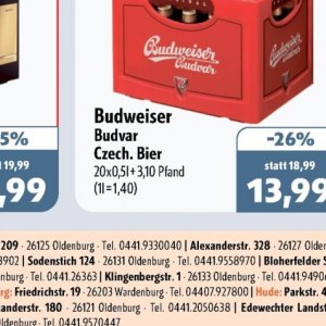 Bier budweiser  bei Aktiv Irma