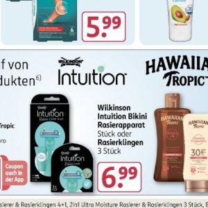   bei Rossmann