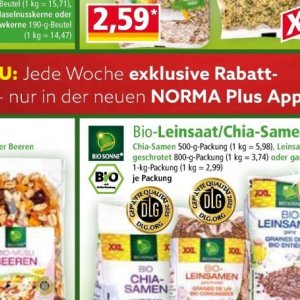 Chia bei Norma