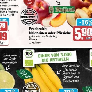 Nektarinen bei Hit