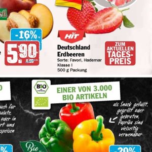 Erdbeeren bei Hit