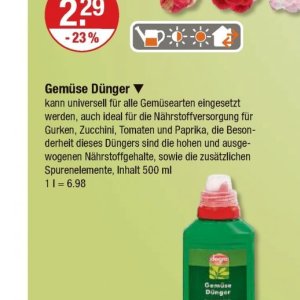 Zucchini bei V-Markt