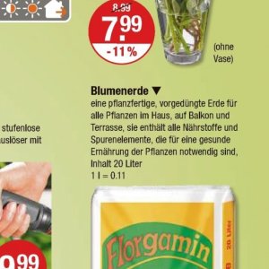 Pflanzen bei V-Markt