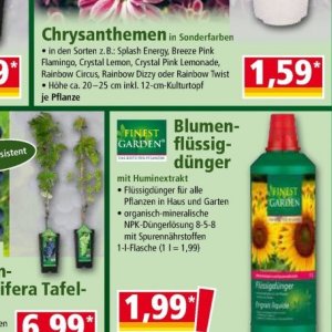Pflanzen bei Norma