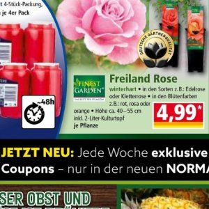 Pflanzen bei Norma