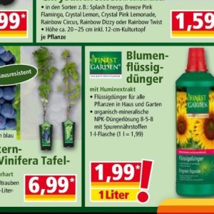 Pflanzen bei Norma