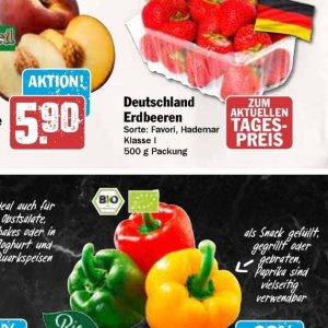 Erdbeeren bei AEZ