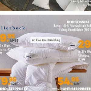 Aloe bei Möbel Kraft