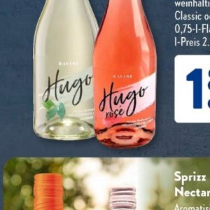 Rose bei Aldi SÜD
