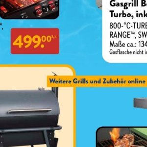 Grills landmann  bei Aldi SÜD