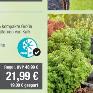 Bodylotion dove  bei Citti Markt