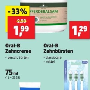 Zahnbürsten bei Thomas Philipps