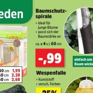 Bäume bei Thomas Philipps