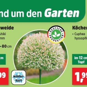 Garten bei Thomas Philipps
