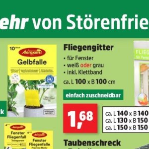 Fenster bei Thomas Philipps