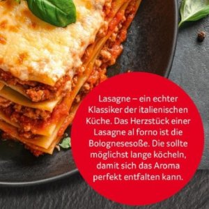 Lasagne bei Selgros