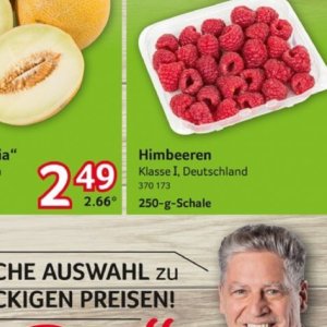 Himbeeren bei Selgros