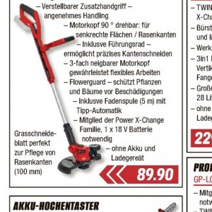 Bäume bei V-Baumarkt