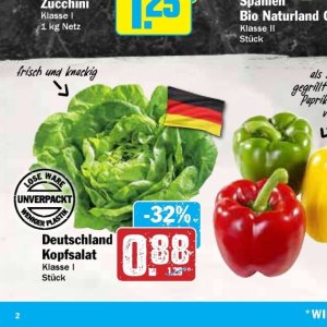 Kopfsalat bei Hit