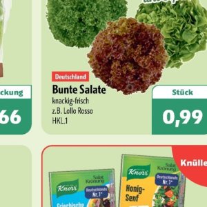 Salate knorr  bei Aktiv Irma
