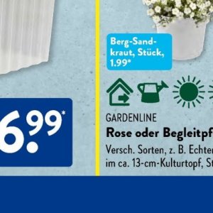 Gartengarnituren bei Aldi SÜD