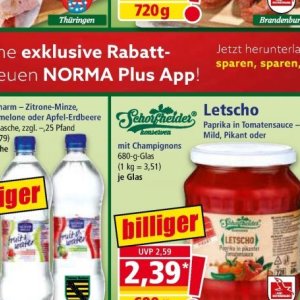 Champignons bei Norma