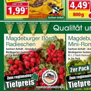 Radieschen bei Norma
