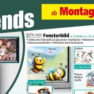 Klebstoff bei Norma
