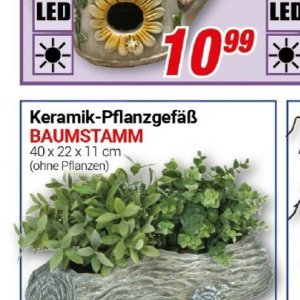 Pflanzen bei Centershop