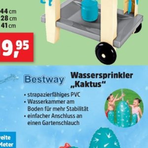 Kaktus bei Thomas Philipps