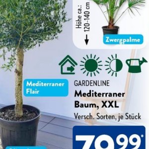 Gartengarnituren bei Aldi SÜD