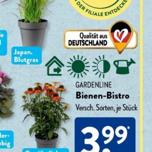 Gartengarnituren bei Aldi SÜD