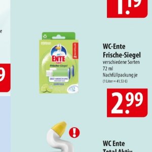 Ente bei Famila Nord Ost