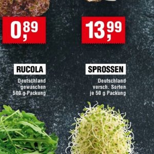 Sprossen bei Handelshof