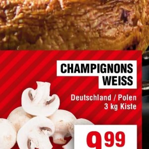 Champignons bei Handelshof